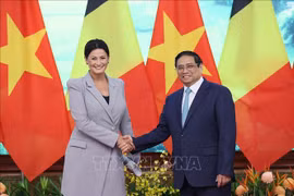 Entrevue entre le Premier ministre Pham Minh Chinh et la présidente du Sénat de Belgique