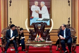 An Giang promeut la coopération économique, commerciale et les échanges culturels avec l'Inde