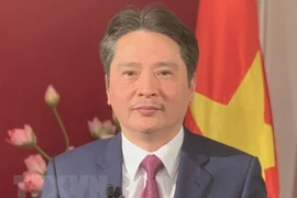 Vietnam-Algérie : volonté commune de renforcer leurs relations économiques