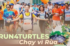 Une course à pied prévue en décembre pour protéger les tortues en voie de disparition