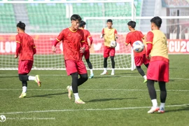 Coupe d’Asie des moins de 20 ans : le Vietnam prêt à affronter l’Australie