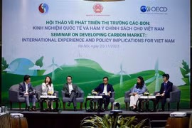 Des pistes pour prompouvoir la coopération internationale dans le développement du marché du carbone 