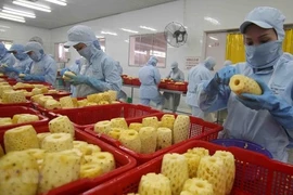 Les exportations de fruits et légumes ont un potentiel élevé et des exigences strictes