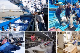 Débat d’entreprises vietnamiennes et néerlandaises sur l'EVFTA