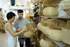Un projet de l'USAID intensifie les liens entre les PME du Vietnam