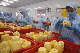 Les exportations de fruits et légumes ont un potentiel élevé et des exigences strictes