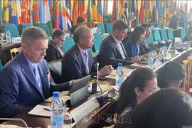 Le Vietnam participe à la Conférence ministérielle de la Francophonie au Cameroun