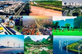 Le Vietnam et le Japon coopèrent pour une croissance verte