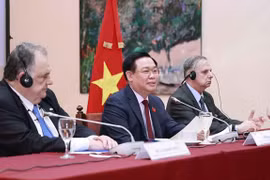 Célébration des 50 ans des relations diplomatiques Vietnam-Argentine 