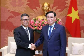 Le président de l’AN du Vietnam reçoit les ambassadeurs d'Indonésie et d'Iran