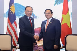 Rendre les relations entre le Vietnam et la Malaisie plus substantielles et plus efficace