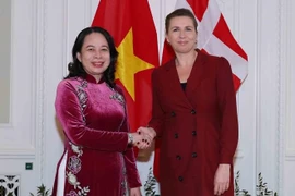 Le Vietnam et le Danemark conviennent de mettre en œuvre prochainement un partenariat stratégique vert