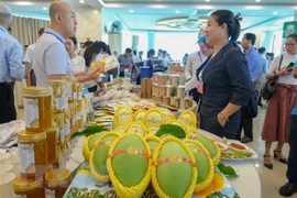 Les échanges commerciaux entre le Vietnam et Chongqing (Chine) promettent une forte croissance 