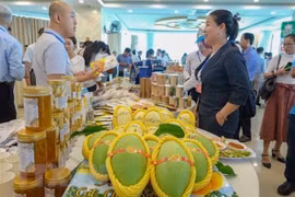 Les échanges commerciaux entre le Vietnam et Chongqing (Chine) promettent une forte croissance 