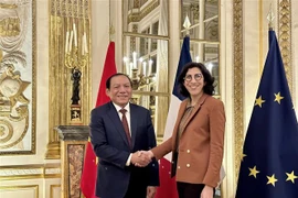 Coopération culturelle - un point lumineux reliant l'amitié Vietnam-France