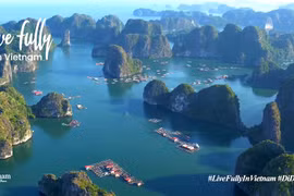 Le site Web du tourisme au Vietnam continue de se classer plus haut dans la région