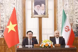 Vietnam-Iran: Conférence de presse conjointe des présidents des organes législatifs