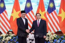 Les PM vietnamien et malaisien saluent le développement des relations bilatérales