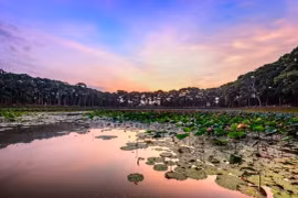 Deux autres sites touristiques typiques du delta du Mékong reconnus