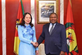 Une nouvelle étape dans les relations Vietnam - Mozambique et Vietnam - Afrique du Sud