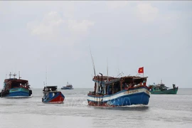 Ninh Thuân prend des mesures drastiques pour lutter contre la pêche INN