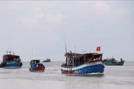 Ninh Thuân prend des mesures drastiques pour lutter contre la pêche INN