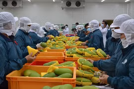 Hanoi cherche à exporter ses produits agricoles biologiques vers l’Europe
