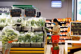 Le marché de détail stimule le développement d’infrastructures d’e-commerce