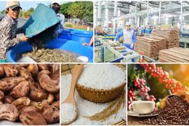 Les exportations agricoles, sylvicoles et aquatiques battent des records en 2022