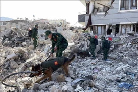 Le Vietnam accorde une aide de 200.000 USD à la Turquie et à la Syrie après le tremblement de terre