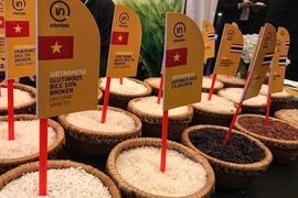 Conditions favorables pour les exportations de riz du Vietnam