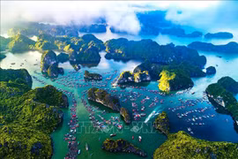 Patrimoine : Finaliser un dossier concernant la "Baie de Ha Long – Archipel de Cat Ba"