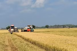 Application des hautes technologies dans le développement de l'économie agricole