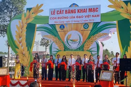Exposition "Route du riz" - un voyage millénaire sur les traces du riz vietnamien