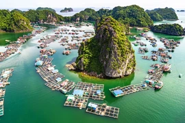 Des destinations prisées au Vietnam attirent les touristes