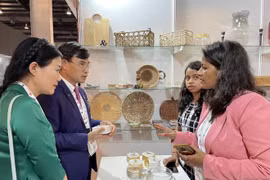 Près de 50 entreprises vietnamiennes en opération séduction en Inde