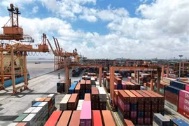 Affaire d’arnaque présumée à l’exportation vers les Émirats arabes unis : paiement de 4 conteneurs sur 5 récupérés