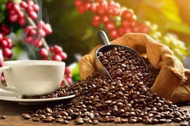 Le café vietnamien conquiert les consommateurs belges et européens