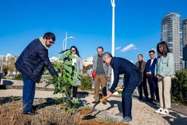 Cérémonie de plantation d'arbres pour marquer les 30 ans des relations diplomatiques Vietnam-Israël