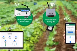 Eco-House, une solution pour l’agriculture verte se met en place 