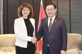 Le président de l'AN Vuong Dinh Huê reçoit des dirigeants de groupes économiques de Bulgarie et du Danemark