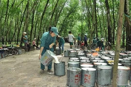 La Chine reste le plus grand débouché pour le caoutchouc du Vietnam