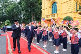 Le Vietnam et la Malaisie jouent tous deux un rôle important au sein de l'ASEAN