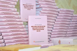 Une vision stratégique sur la politique militaire et de défense du Vietnam