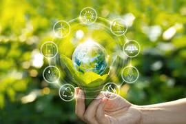 Les Pays-Bas coopèrent avec le Vietnam dans le développement vert