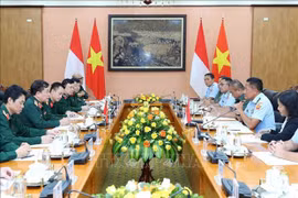 Le Vietnam et l’Indonésie tiennent leur 3e dialogue sur la politique de défense
