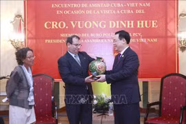 Le président de l’AN Vuong Dinh Hue affirme les relations durables Vietnam-Cuba