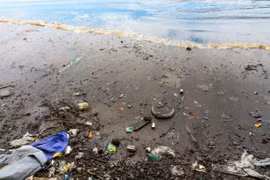 La Thaïlande voit une amélioration de la protection de l'environnement marin