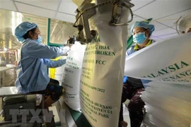 Exportations de riz du Vietnam en hausse en raison de la pénurie d'approvisionnement