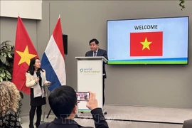 Le Vietnam et les Pays-Bas renforcent leur coopération dans l’agriculture intelligente